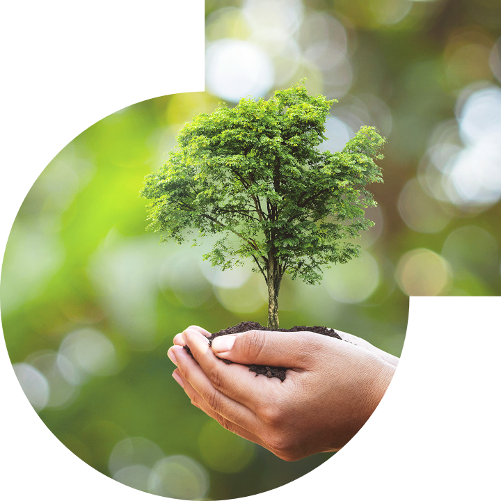 关怀人类、文化、环境与社会